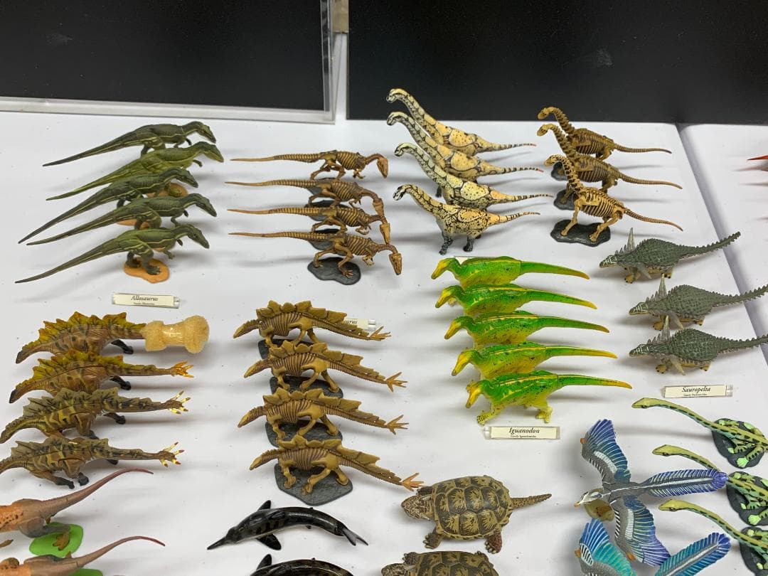 チョコラザウルス 第1、第2、第3、第4、リペイントシリーズ (262体)