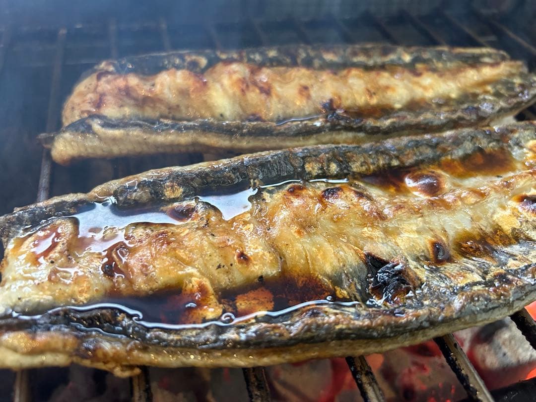 K’s HOBBY様　特白5、特蒲3