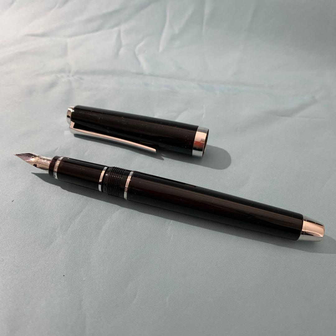PILOT 万年筆 エラボー 極細字軟SEF FE-25SR-BSEF