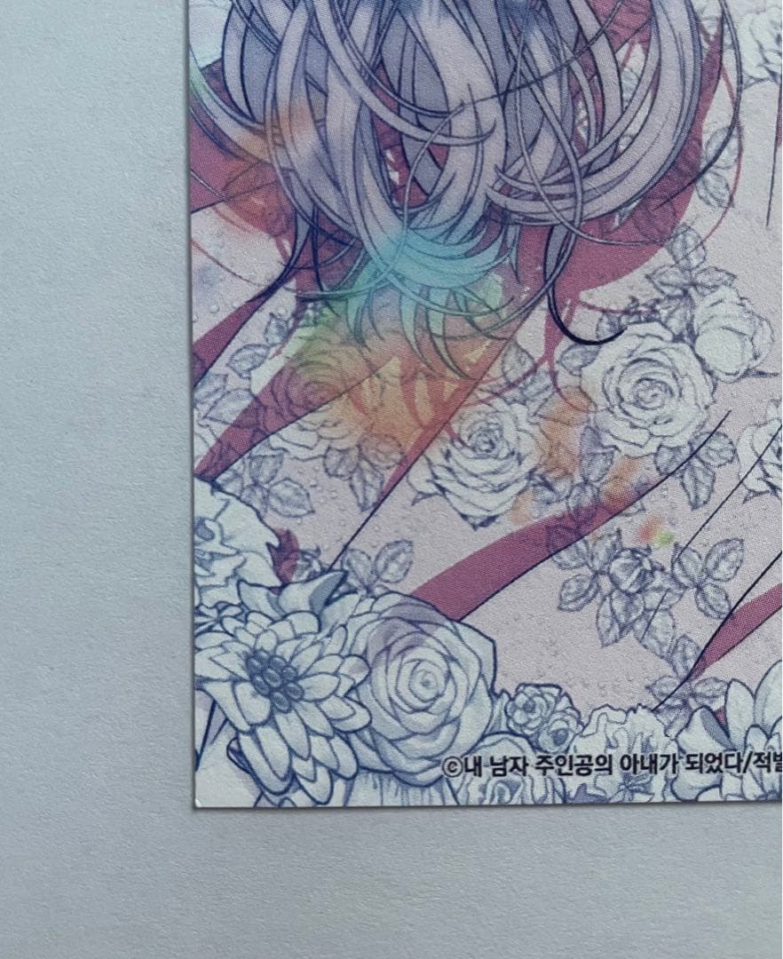 【売り切り価格】webtoonフェア イラストカード/レンチキュラーカード