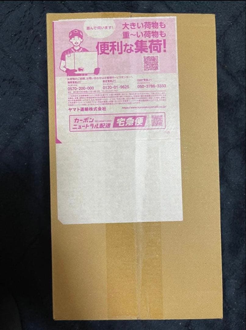 新品・未開封　ポケモンセンター　ヒロシマ　スペシャル1BOX