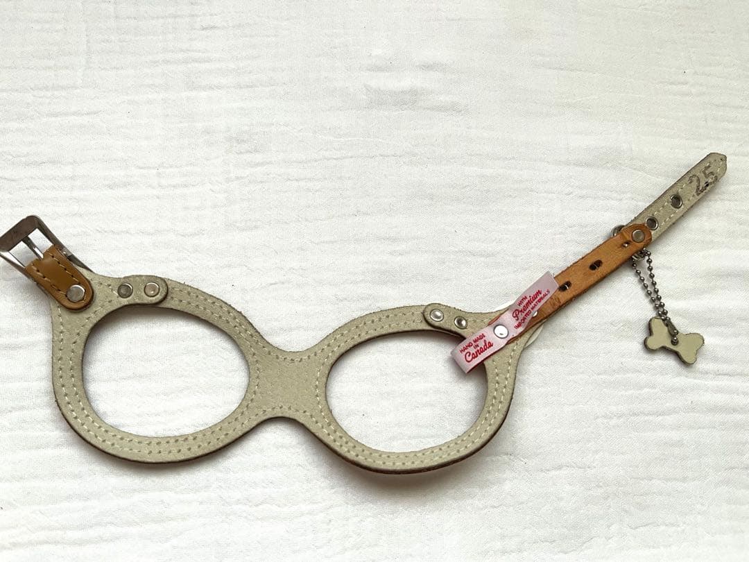 バディベルト　リード　セット　サイズ2.5 BB