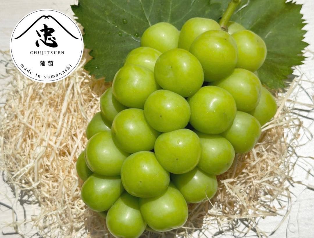 ぴん 巨大 大粒プレミアムシャインマスカット　4房　送料無料