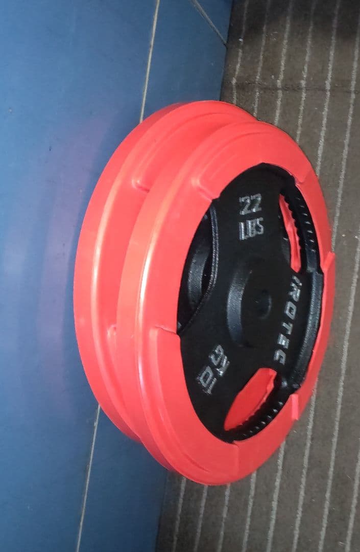 美品 アイロテック 10kgプレート2枚