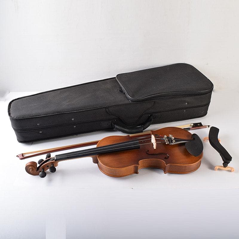 弦楽器　バイオリン　ハルシュタット　ハードケース付　F　R7934C