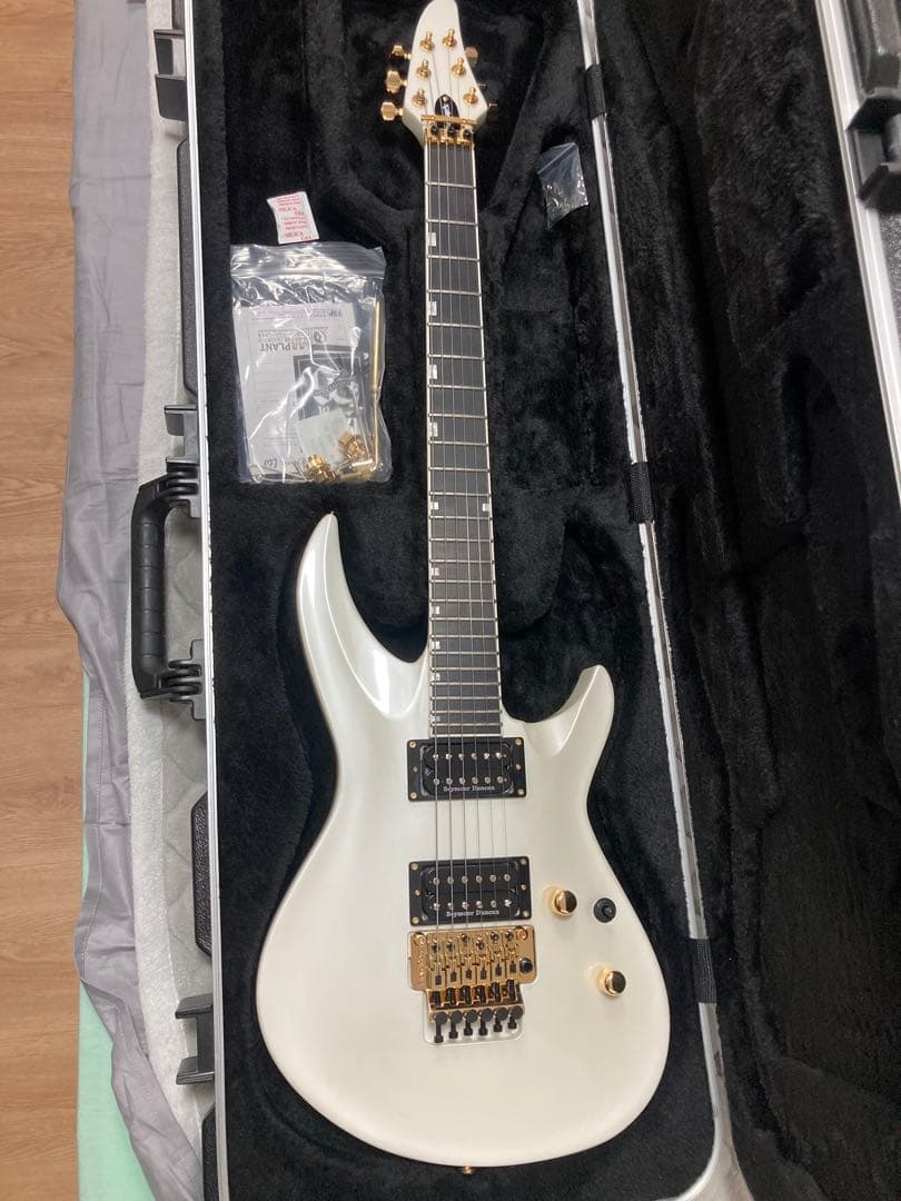 ほぼ新品　Edwards e-hr145