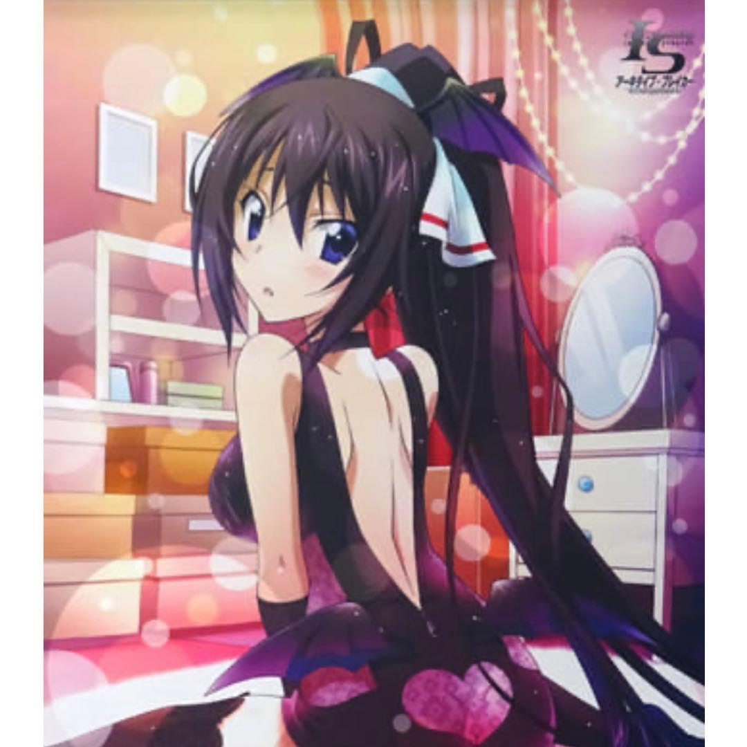 インフィニット・ストラトス　タペストリー