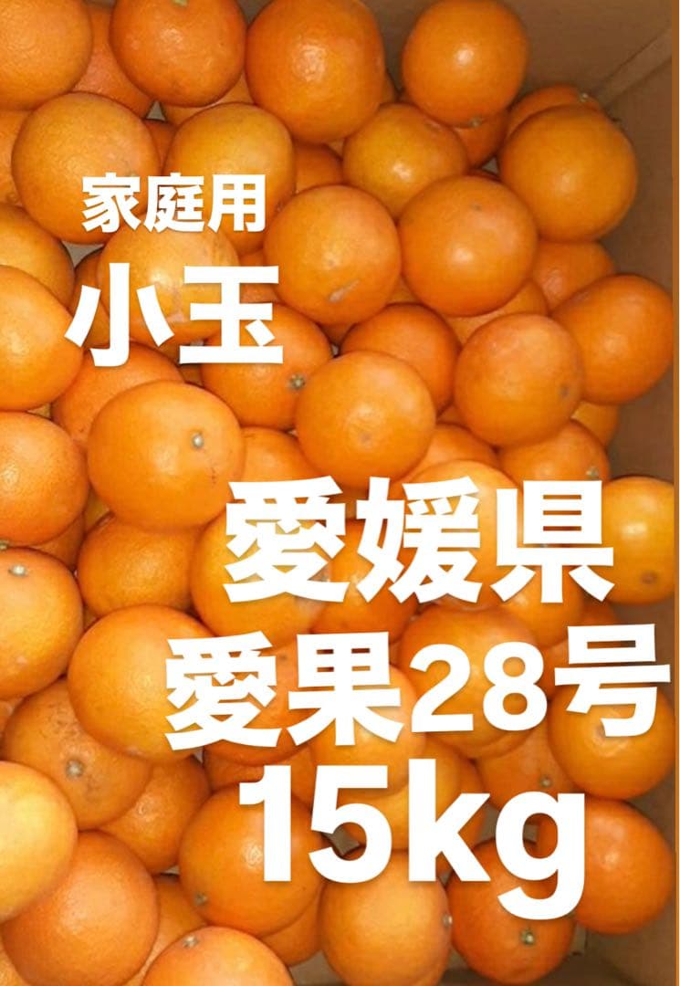 愛媛県産　家庭用　小玉　愛果28号　柑橘　15kg