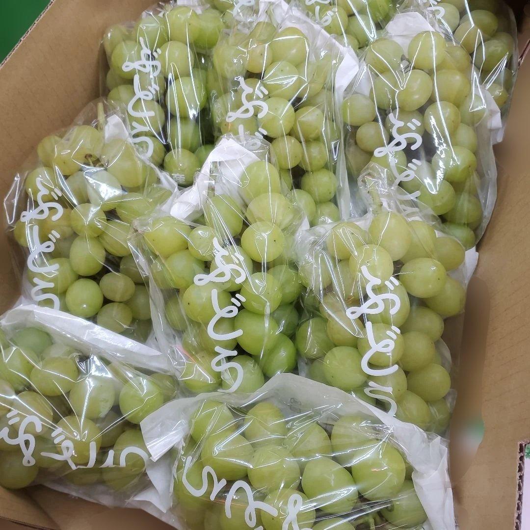 3️⃣ 山梨県産 シャインマスカット １1房入り 箱込み5.5キロ