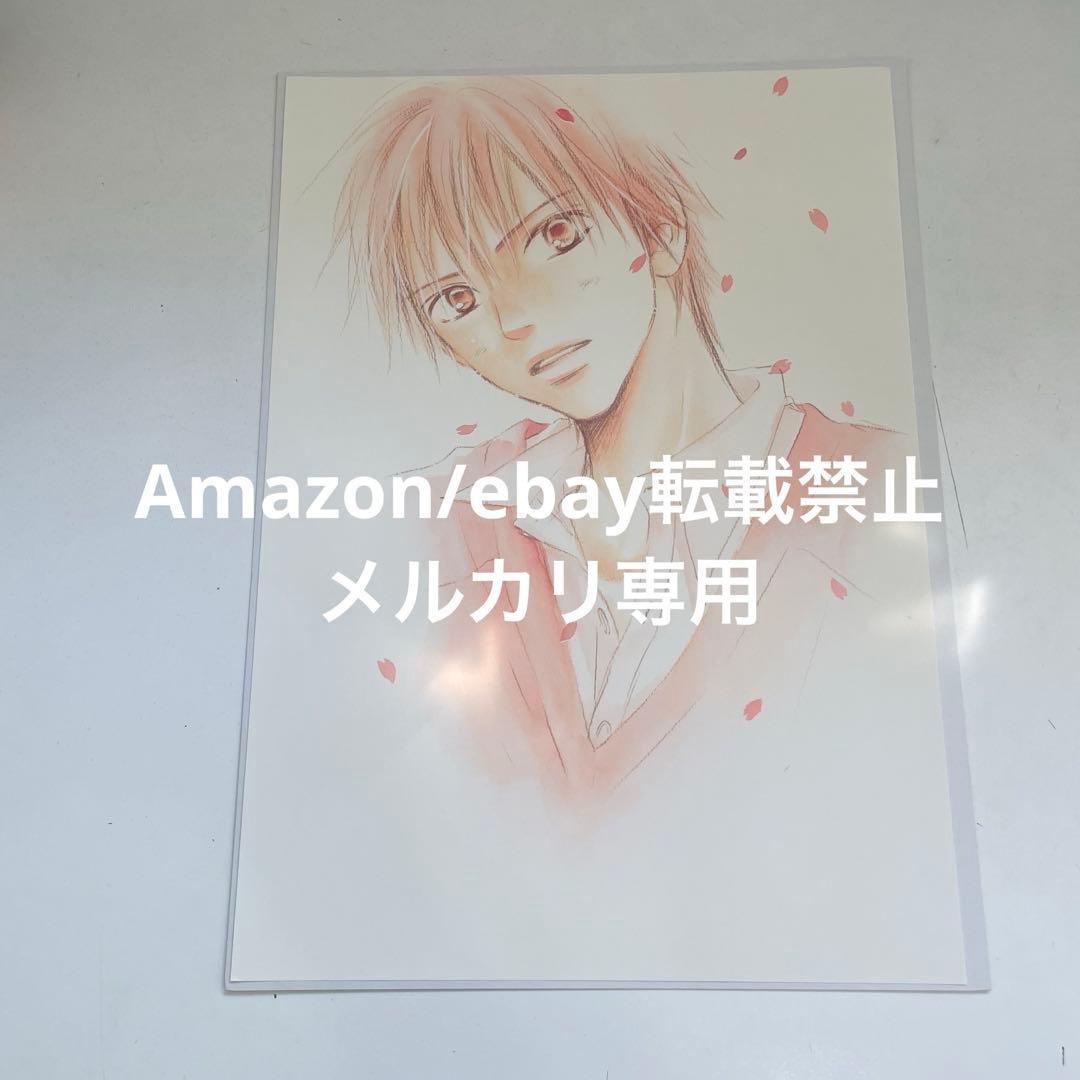 2. 椎名軽穂 カラー複製原稿 君に届け複製原稿 別冊マーガレット