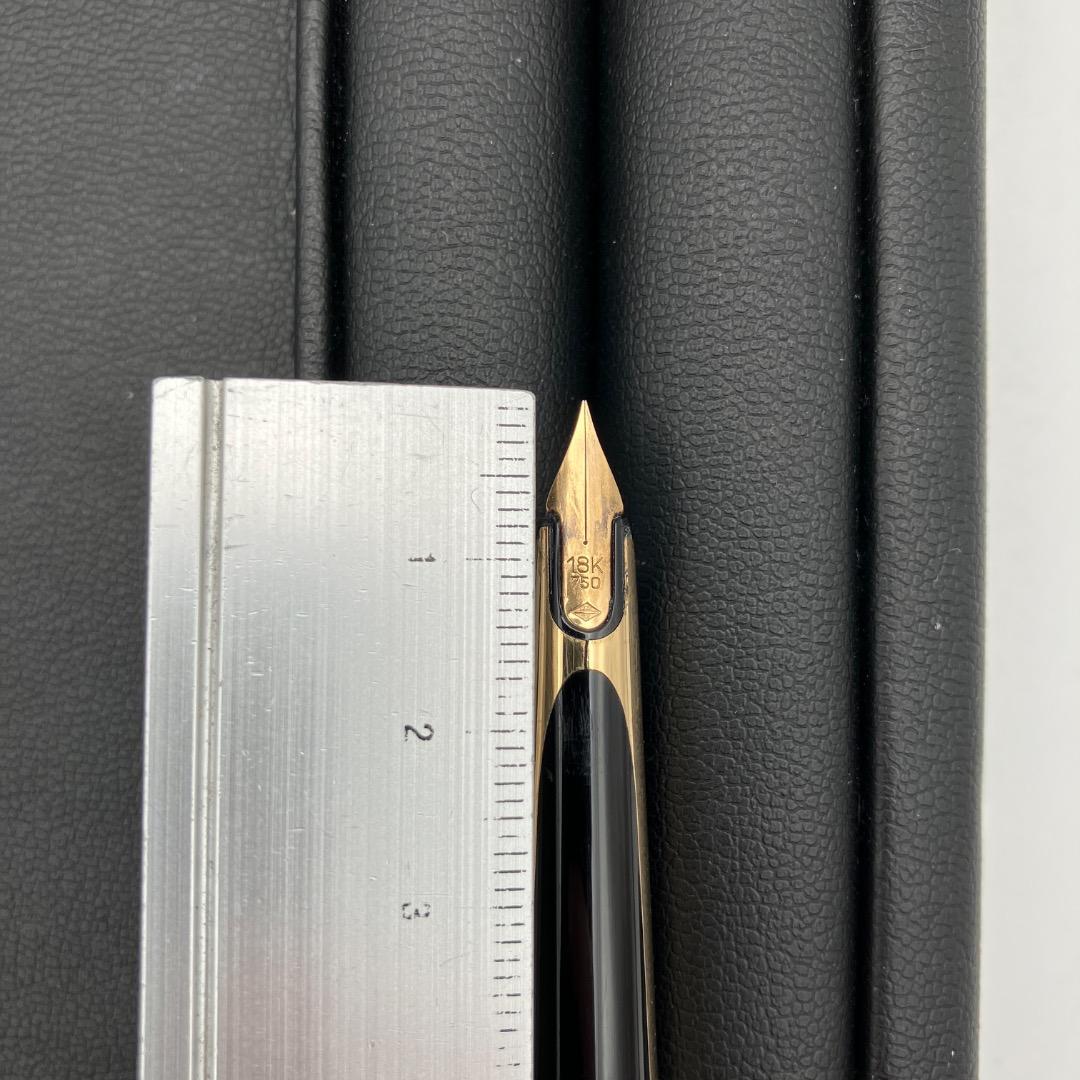 18K 750 WATERMAN ウォーターマン PLAQUE ORG 万年筆