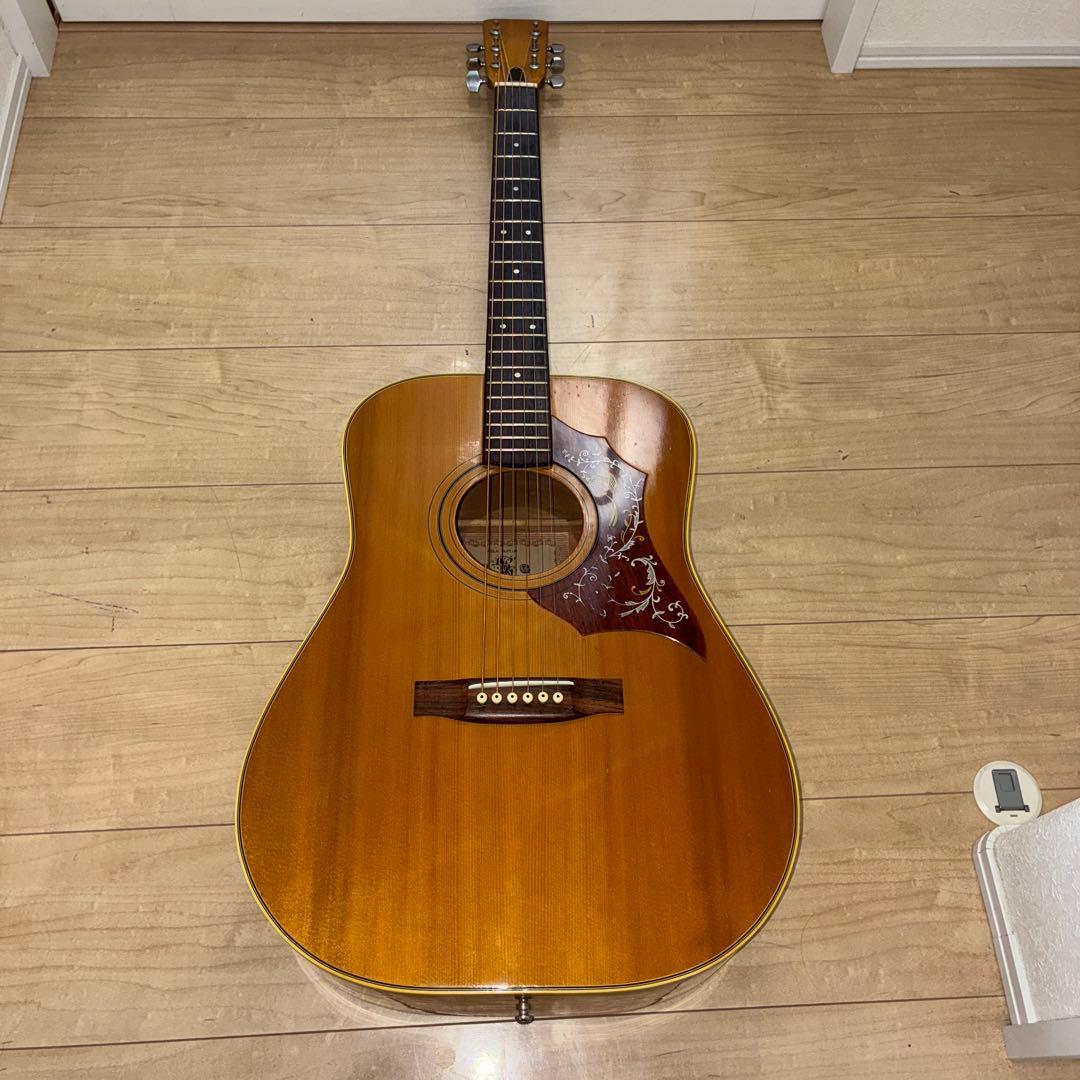 激レア　ZENON 全音　アコースティックギター　ハミングバードタイプ