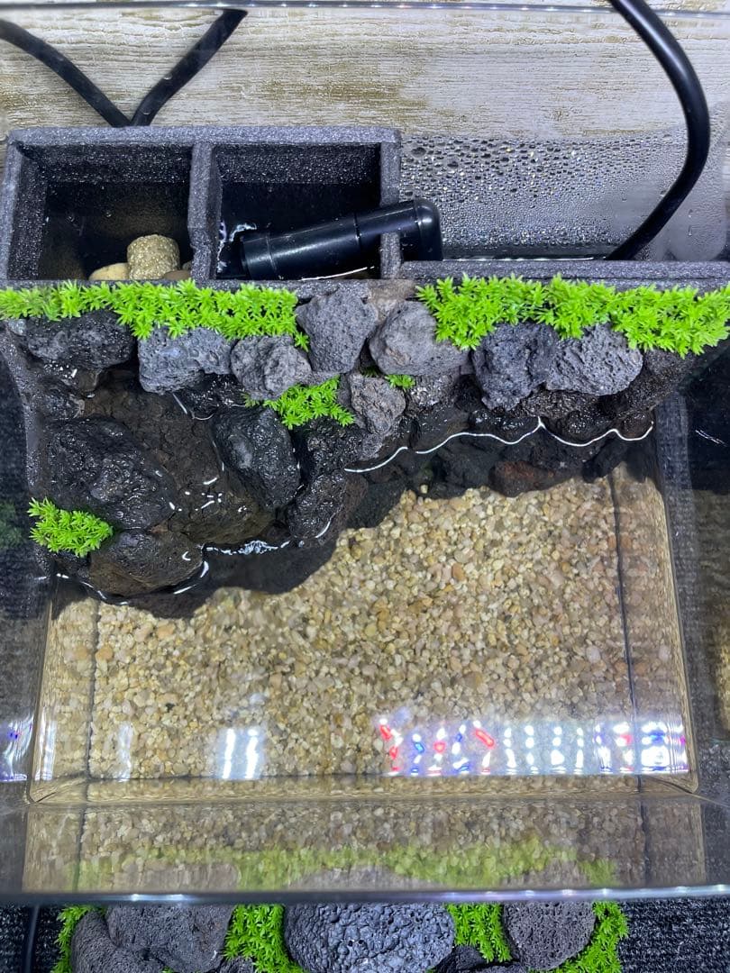 アクアテラリウム　溶岩石　No.7