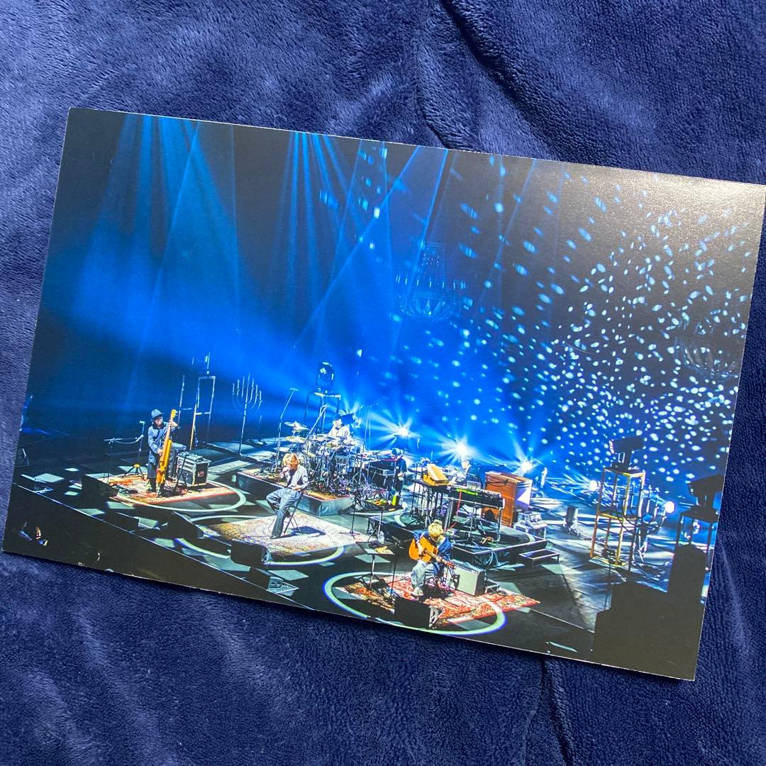 SUPER BEAVER パネル アコースティックツアー