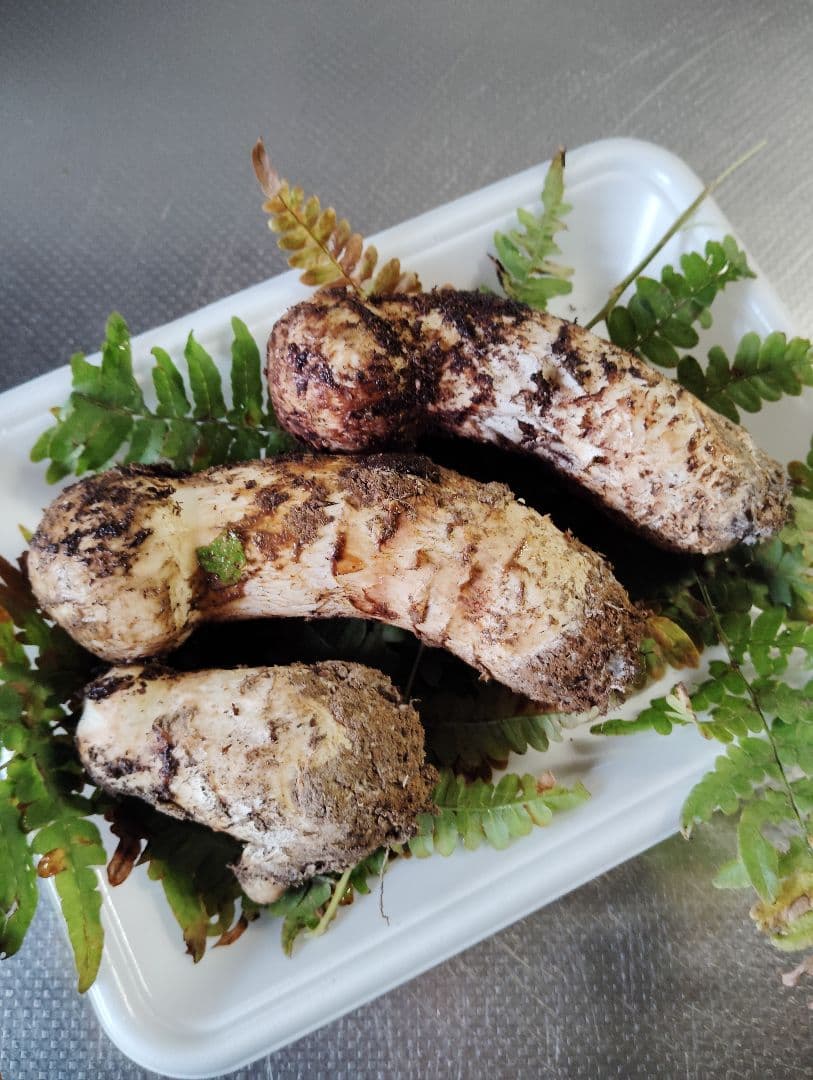 岩手県産松茸　180グラム