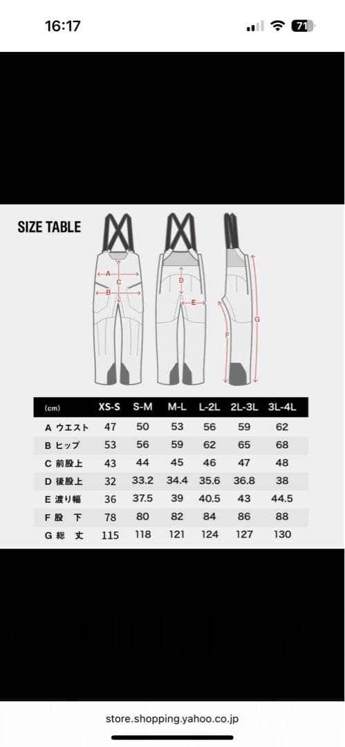 43DEGREES 43d スノーボードウェア ビブパンツ　メンズ　2L-3L