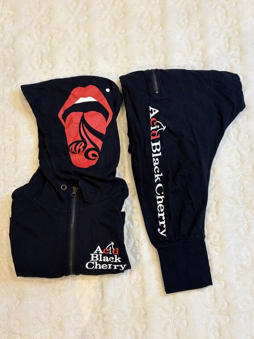 Acid Black Cherry セットアップ