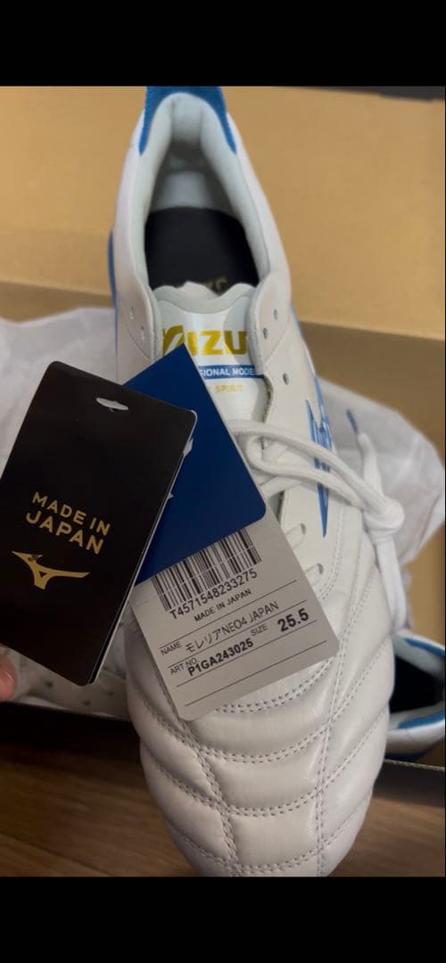 モレリアネオⅣ