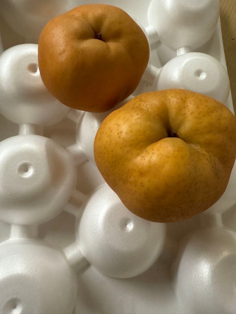 梨　愛宕　家庭用　15㎏