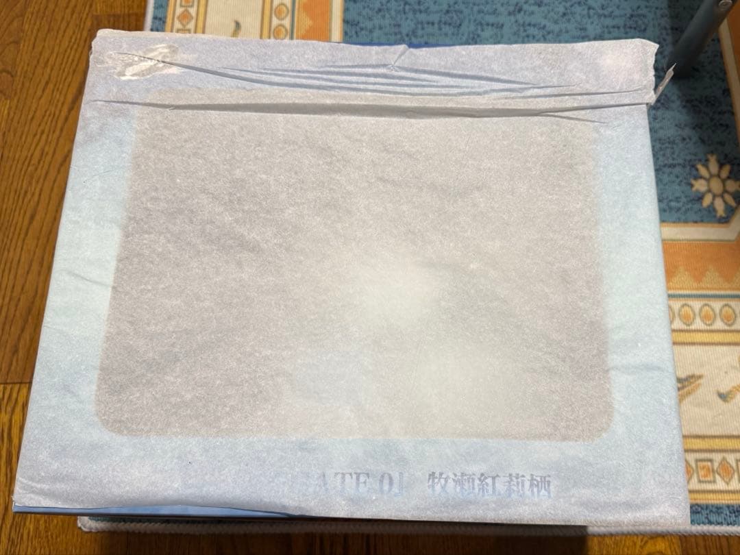 い*ん様 STEINS;GATE 0 牧瀬紅莉栖 フィギュア