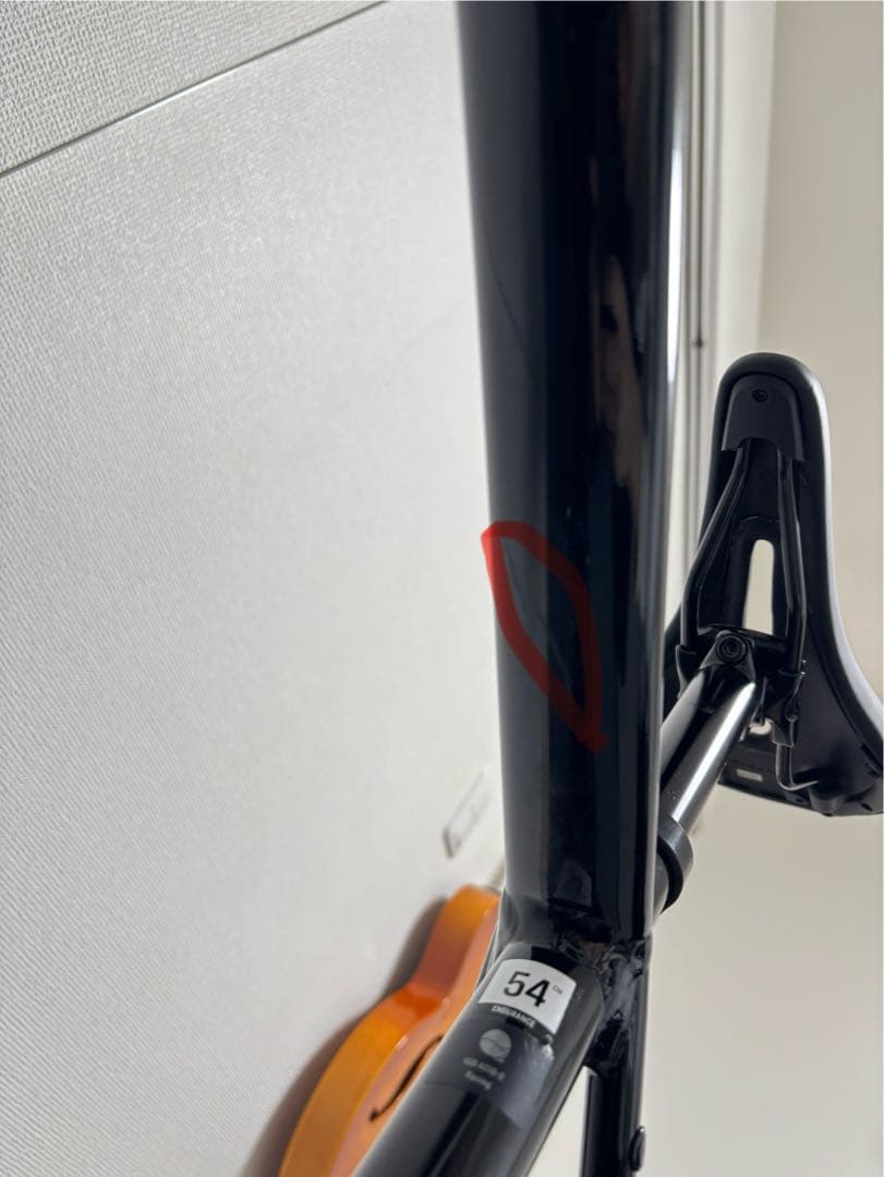 (直接引渡しのみ)trek domane al2 disk 54サイズ