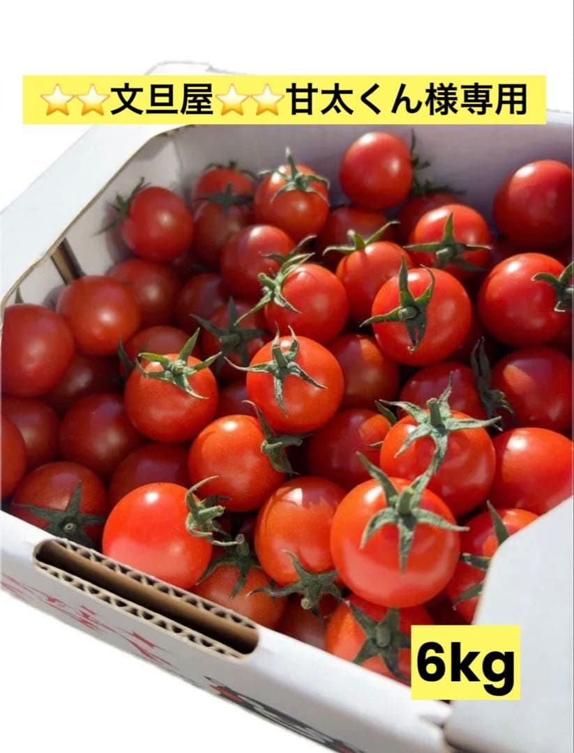 【⭐️⭐️文旦屋⭐️⭐️甘太くん】ミニトマト　6kg ※来週発送分