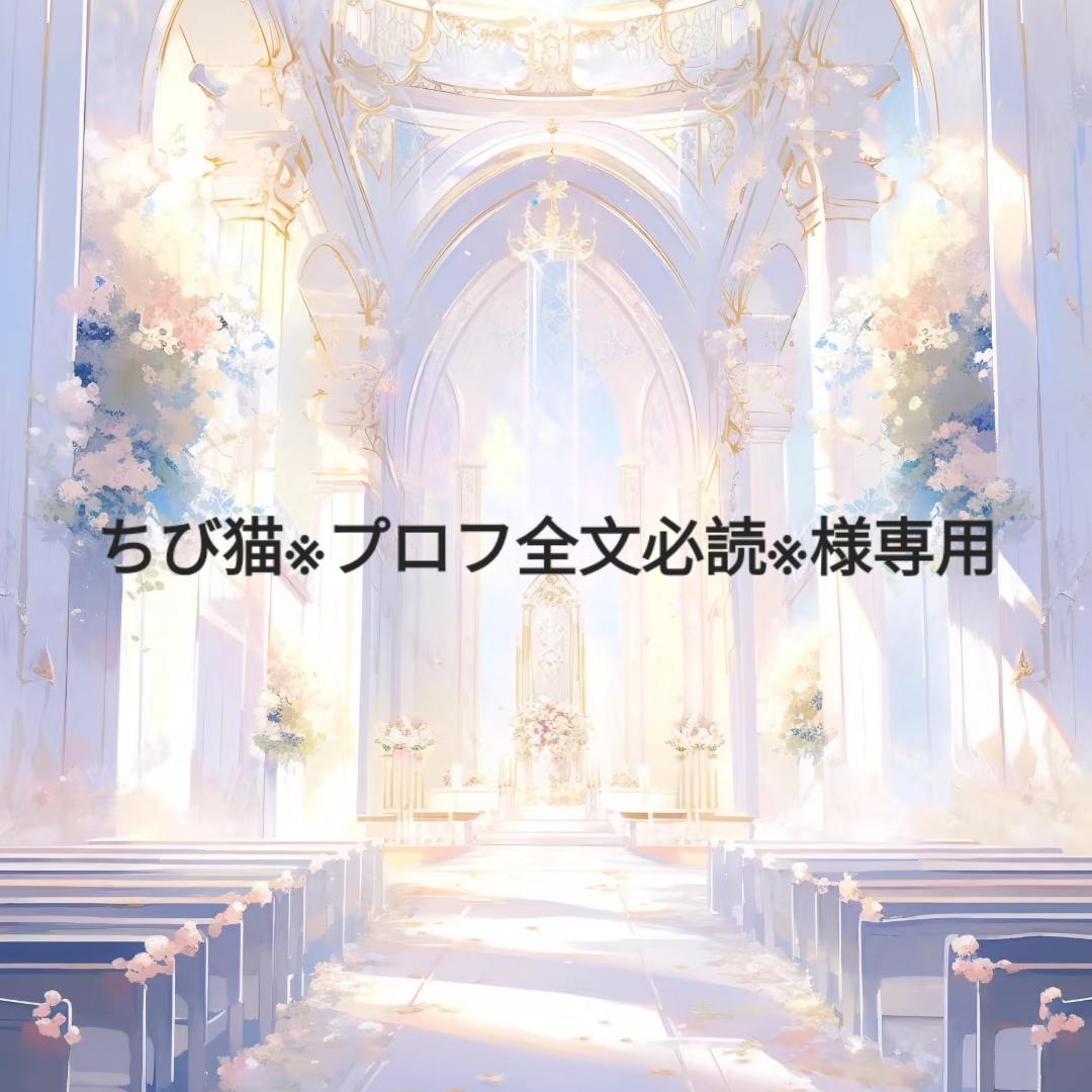 ちび猫※プロフ全文必読※2602W2