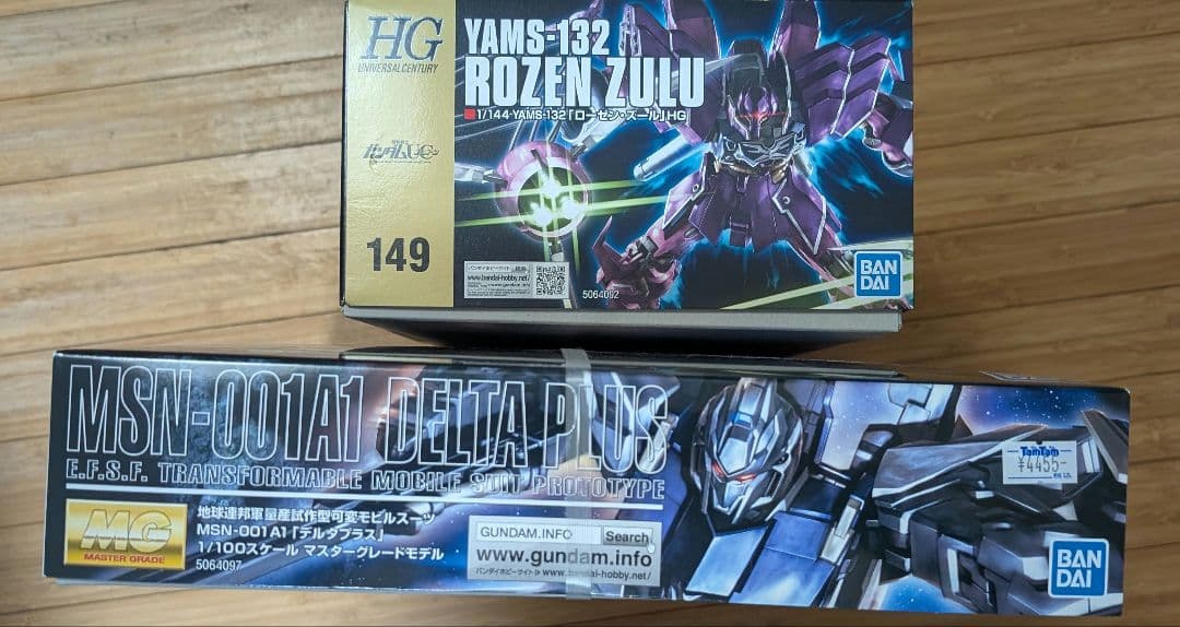 ガンダムUCMG1/100MSN-001A1デルタプラス+HGローゼン・ズール