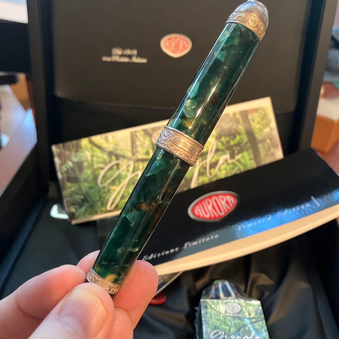 アウロラ　万年筆　ジュングラ　アンビエンテ　EF