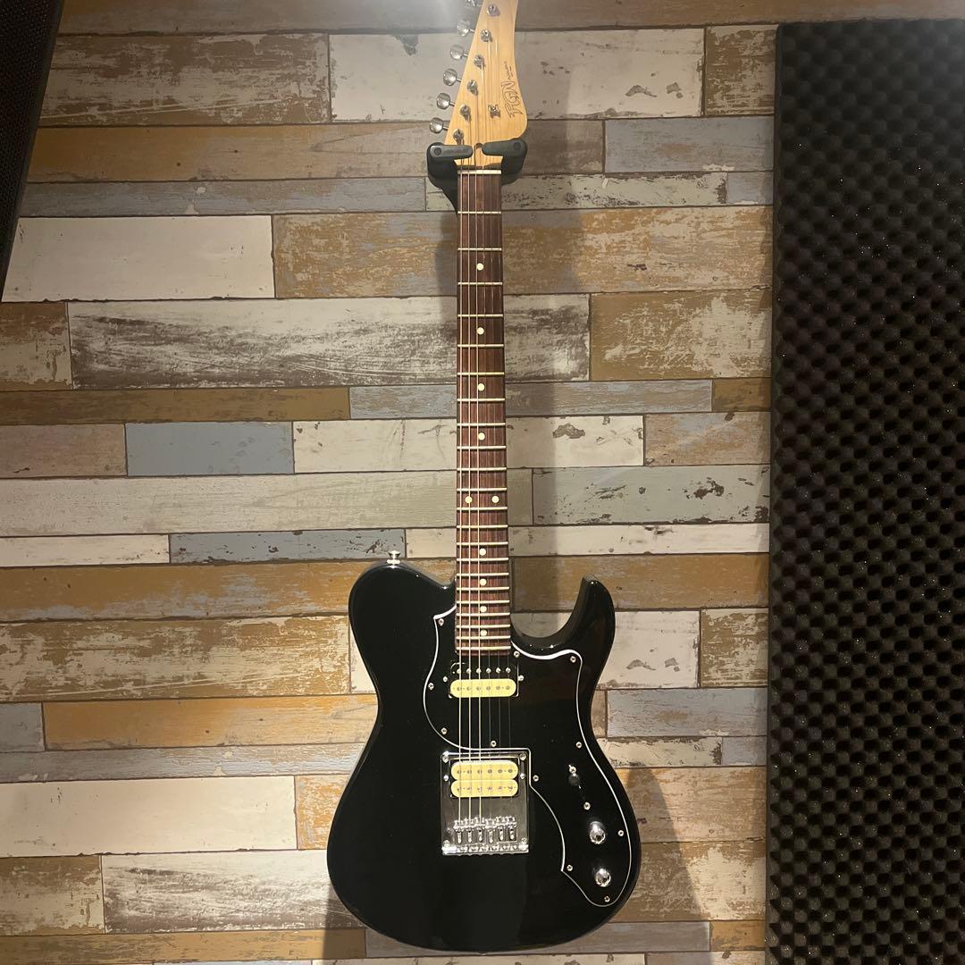 FUJIGEN テレキャスター 2ハム