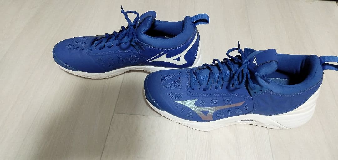 ミズノ バレーボールシューズウエーブモーメンタム