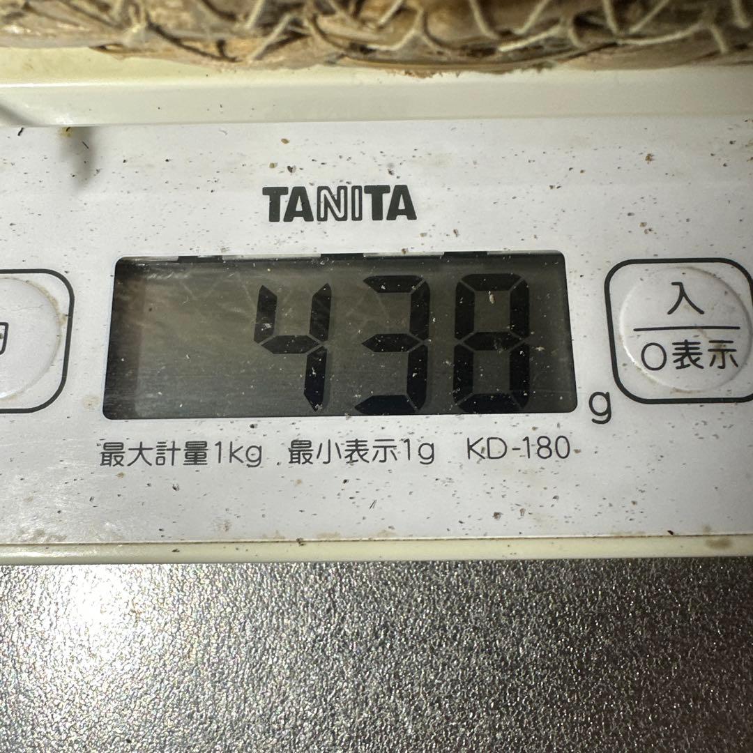 訳あり品‼️国産天然松茸‼️430g‼️