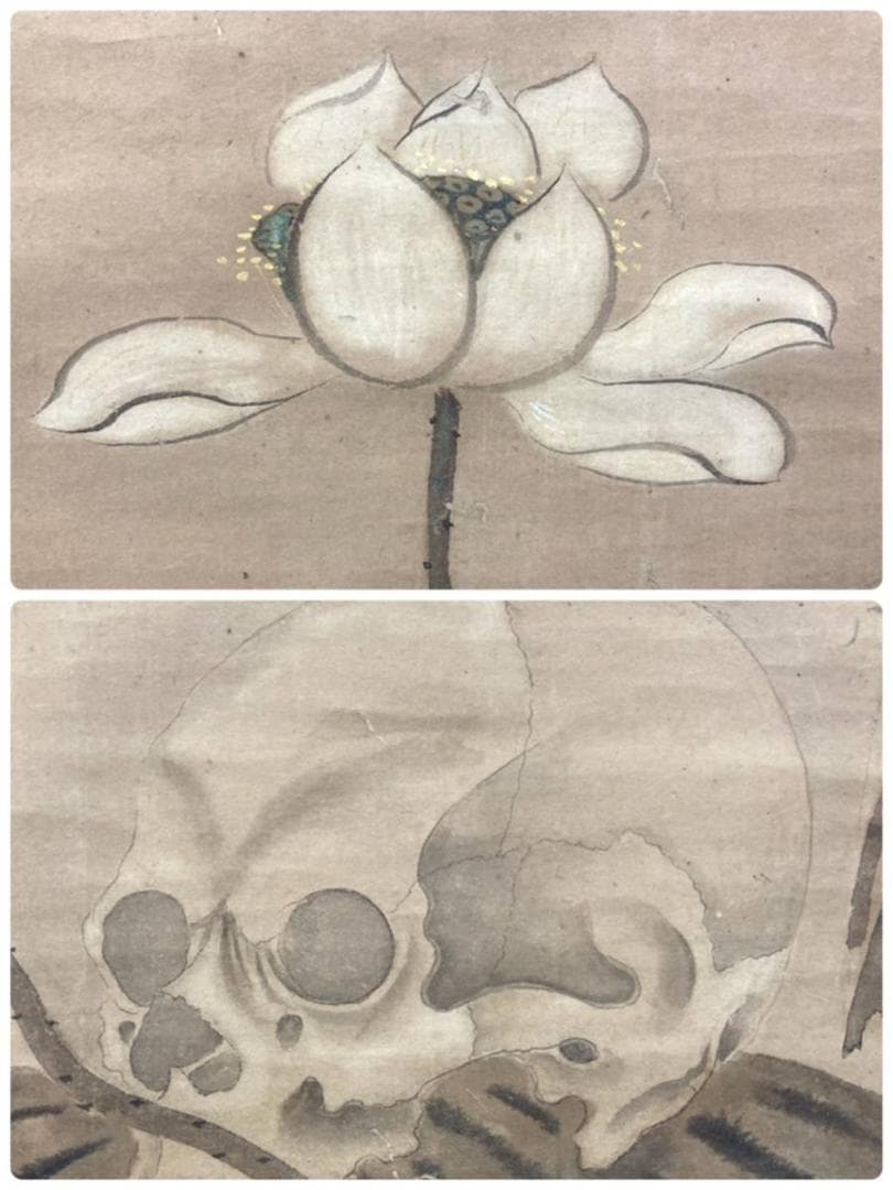 【ドクロ図】渡辺始興／【書】蜀山人 (貼り合わせ)／紙本　掛軸【髑髏／骸骨】