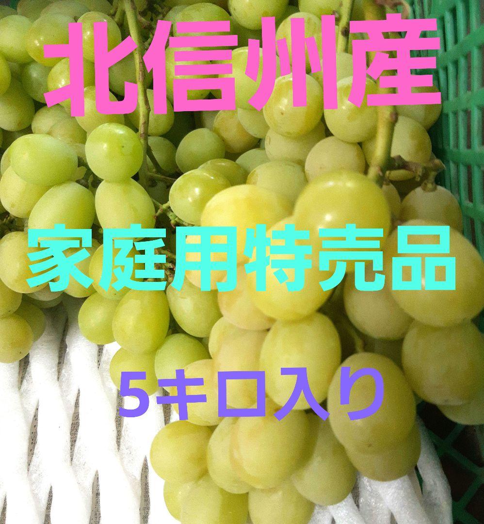 シャインマスカット家庭用徳用5キロ入り