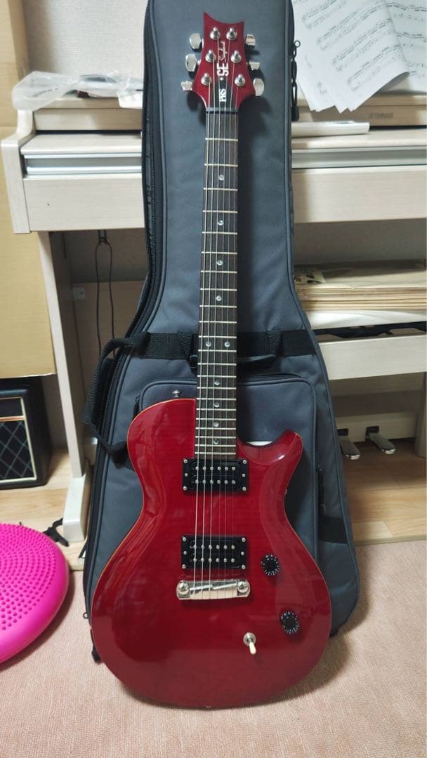Paul Reed Smith(PRS) SE Singlecut 美品