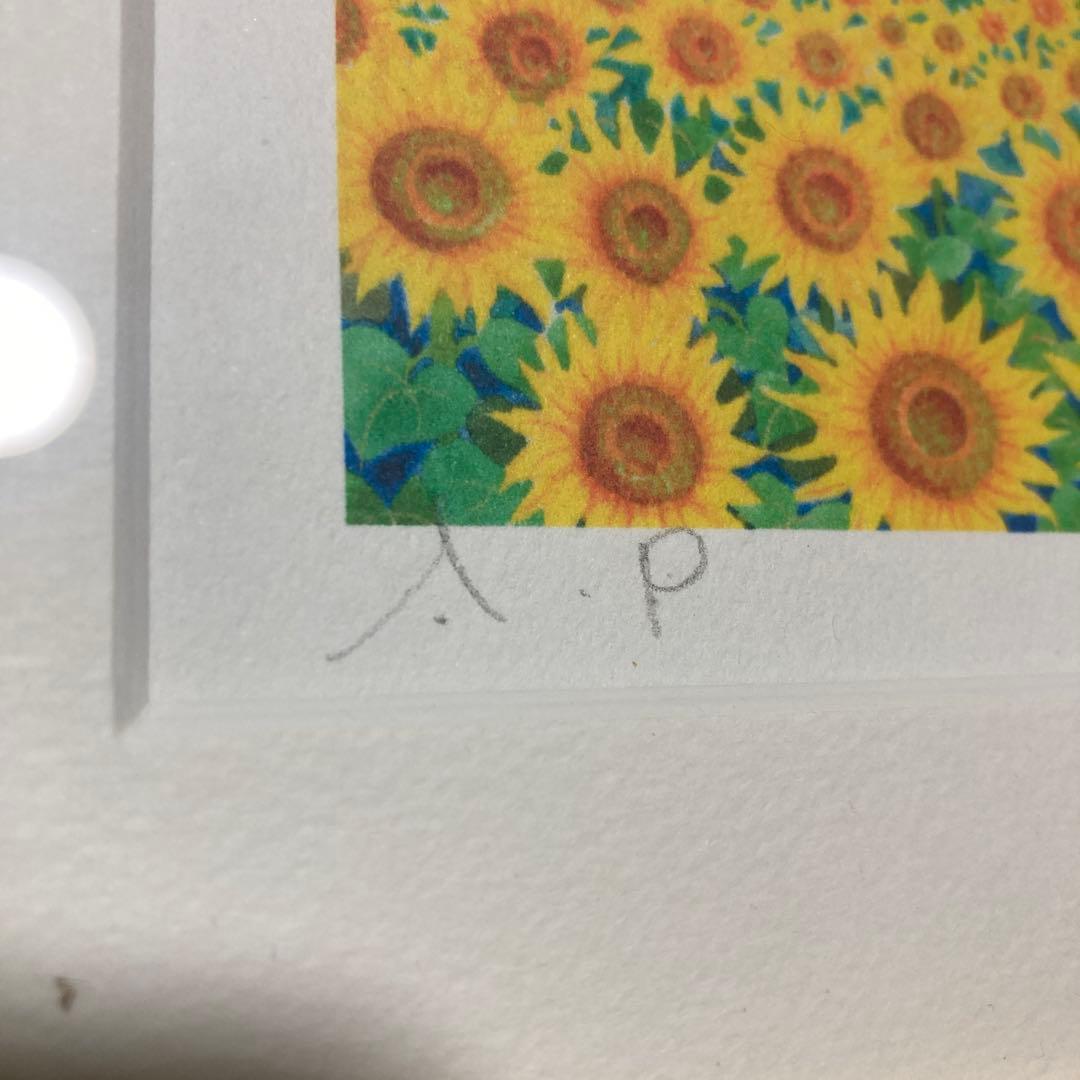 くりのきはるみ　栗乃木　ハルミ　ひまわりⅢ ジグレー