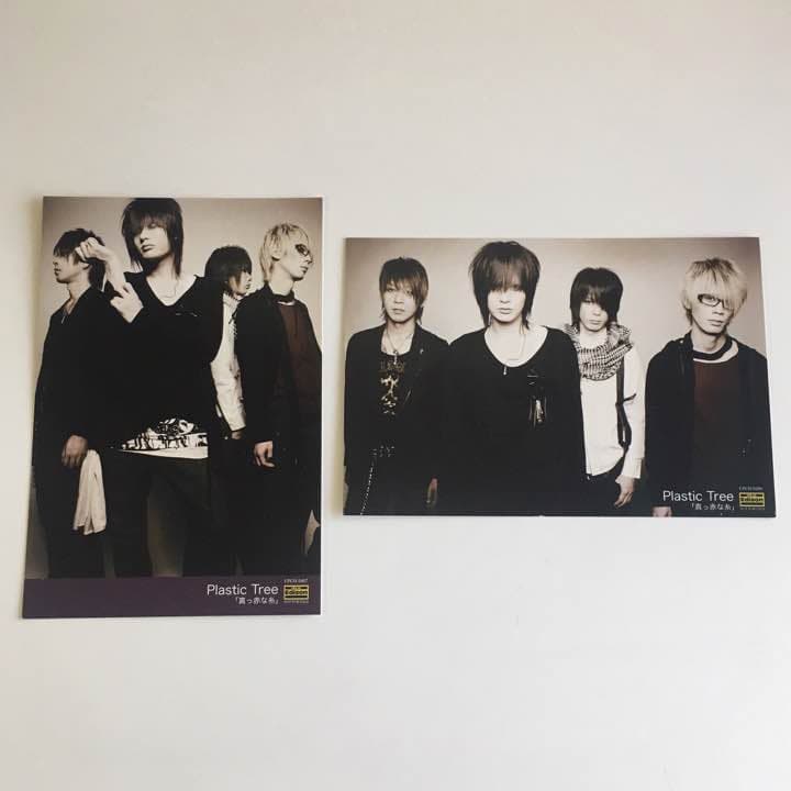 Plastic Tree 真っ赤な糸 ライカ ポストカード