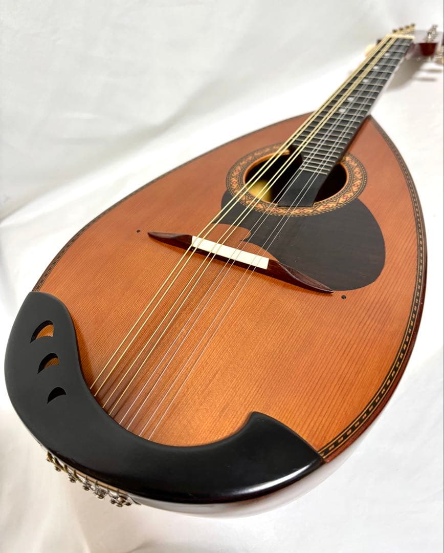 【新品弦張替済】SUZUKI マンドリン M-210 チューナー/ケース