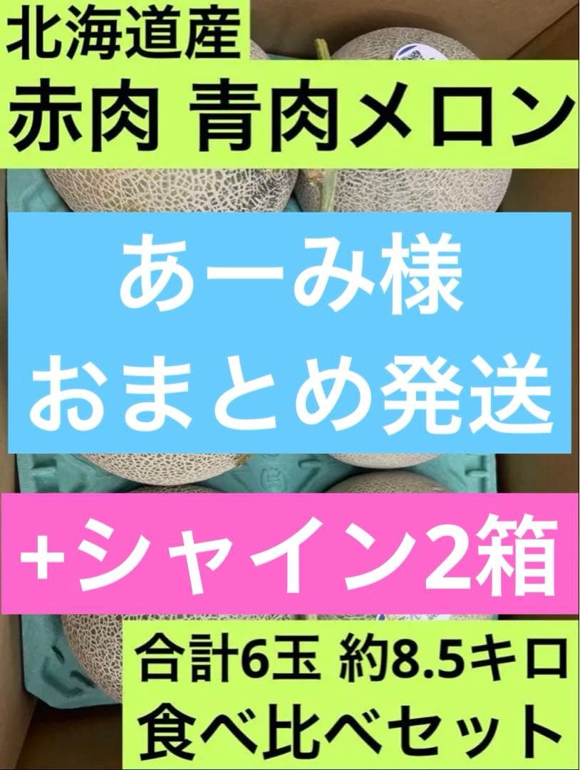 ⑥【北海道産】赤肉、青肉メロン食べ比べ3玉ずつ 合計6玉　約8.5kg