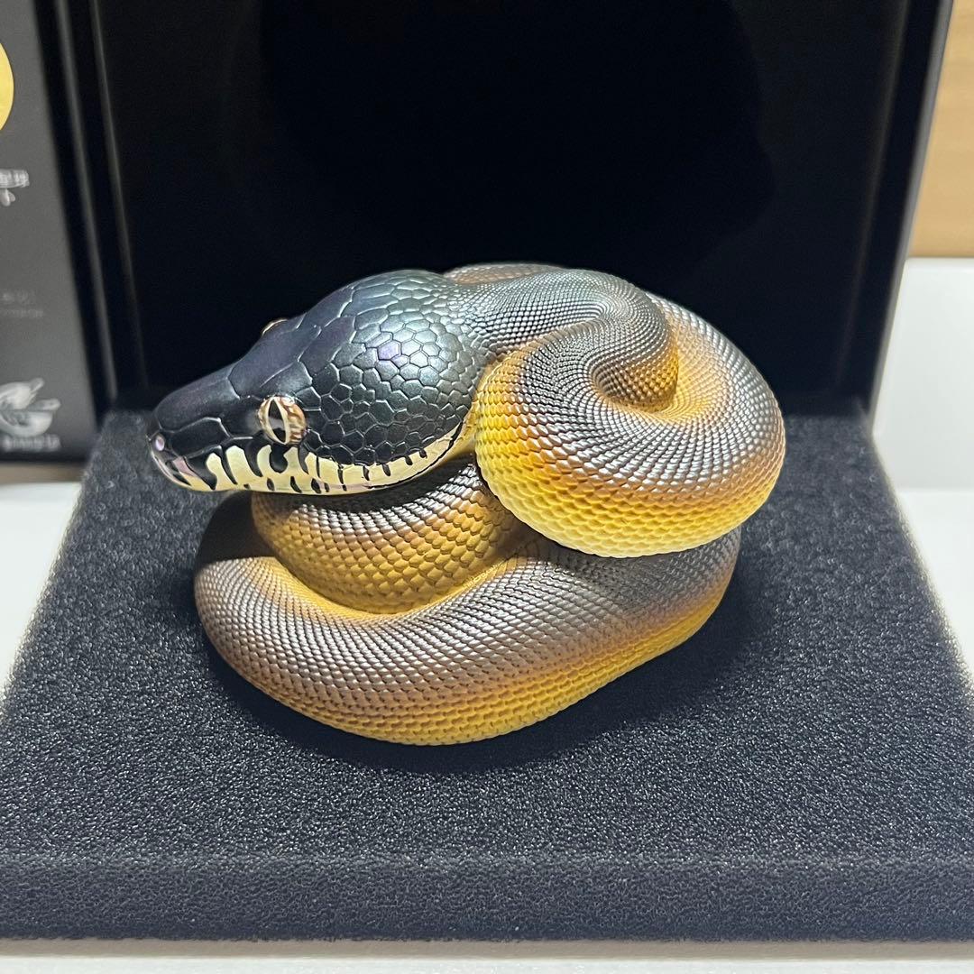 動物の惑星　レア　シロクチニシキヘビ