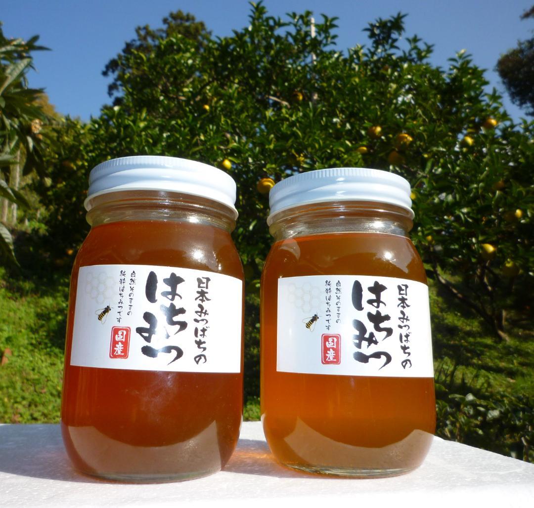 安心の日本みつばち 芳醇 糖度81％ 優良品 非加熱 秋はちみつ1,100g