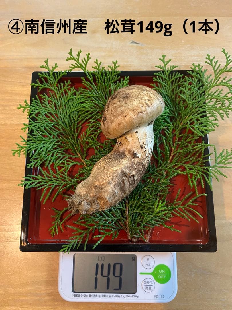 松茸149g（1本）長野県産松茸　南信州産松茸　国産松茸