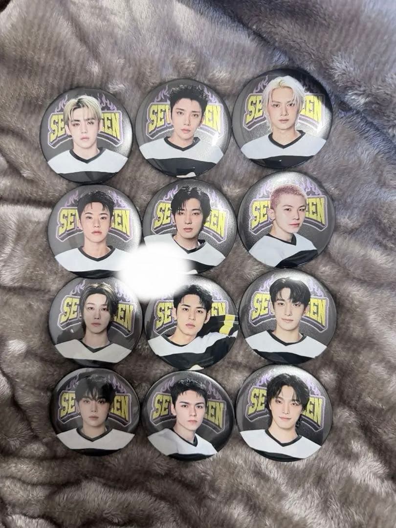 SEVENTEEN2025バッジ12個