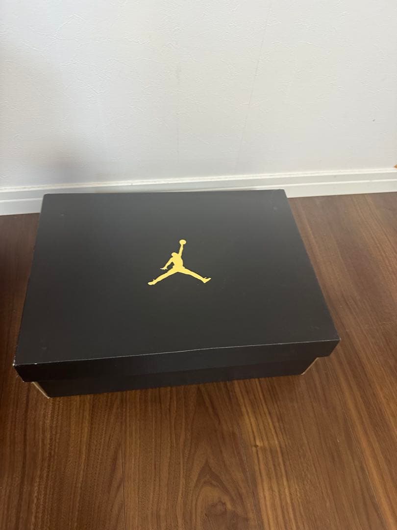 Air Jordan 4 28.5cm 新品未使用