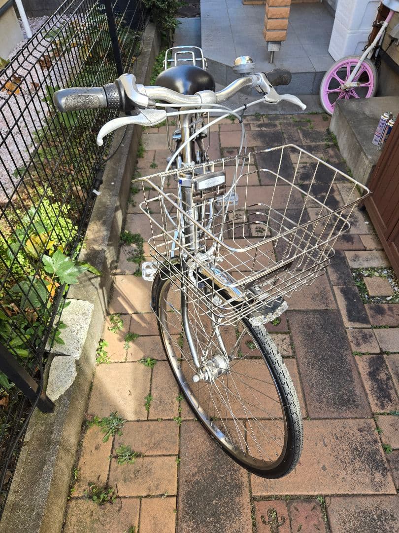 通学　ブリヂストン　ロングティーンDX