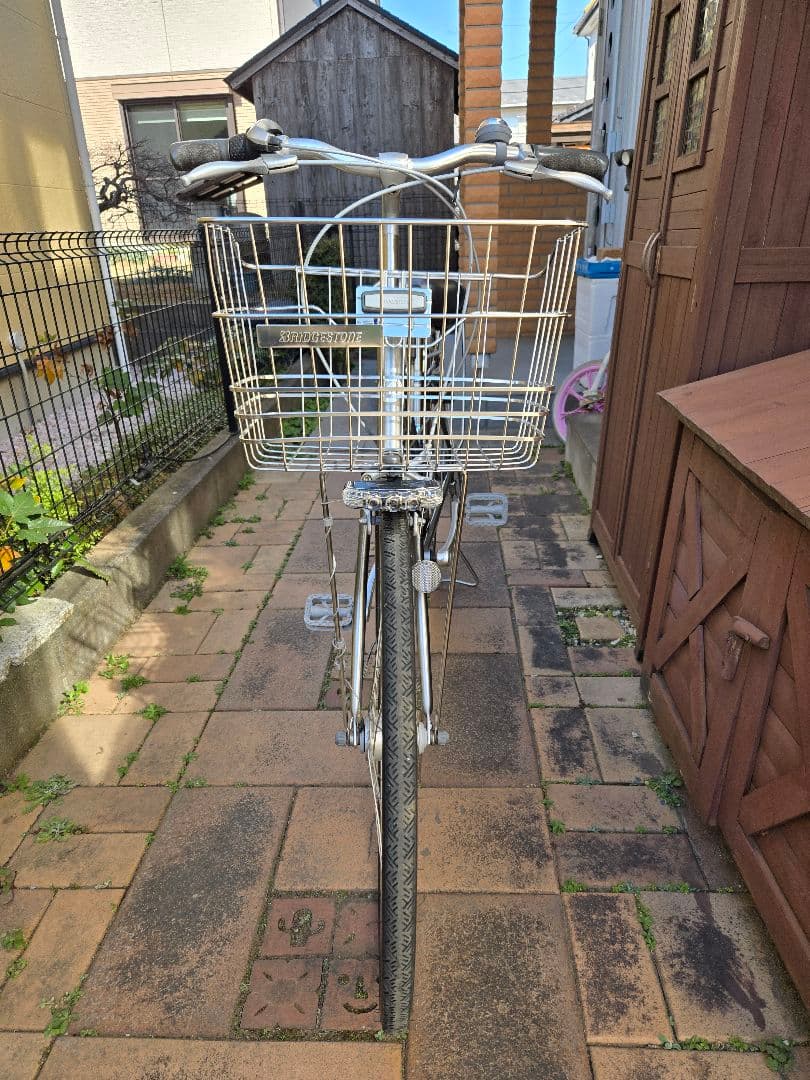 通学　ブリヂストン　ロングティーンDX