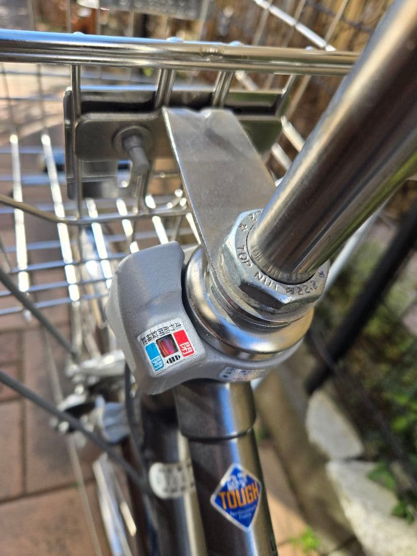 通学　ブリヂストン　ロングティーンDX