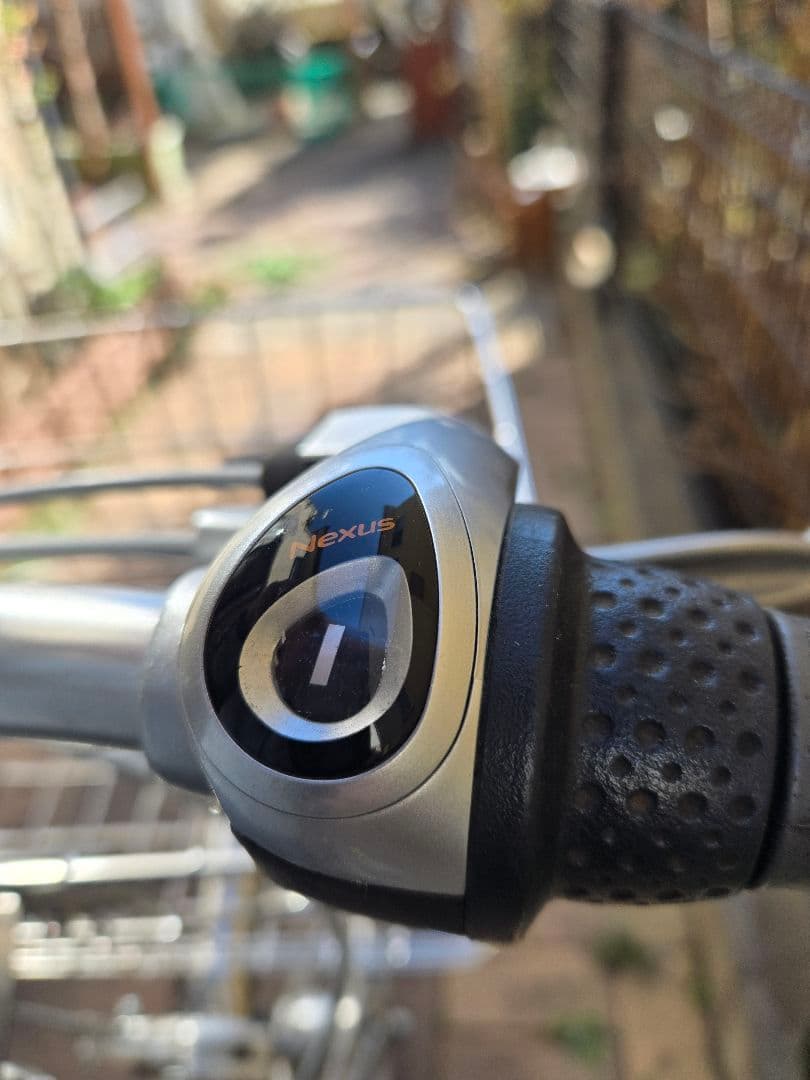 通学　ブリヂストン　ロングティーンDX