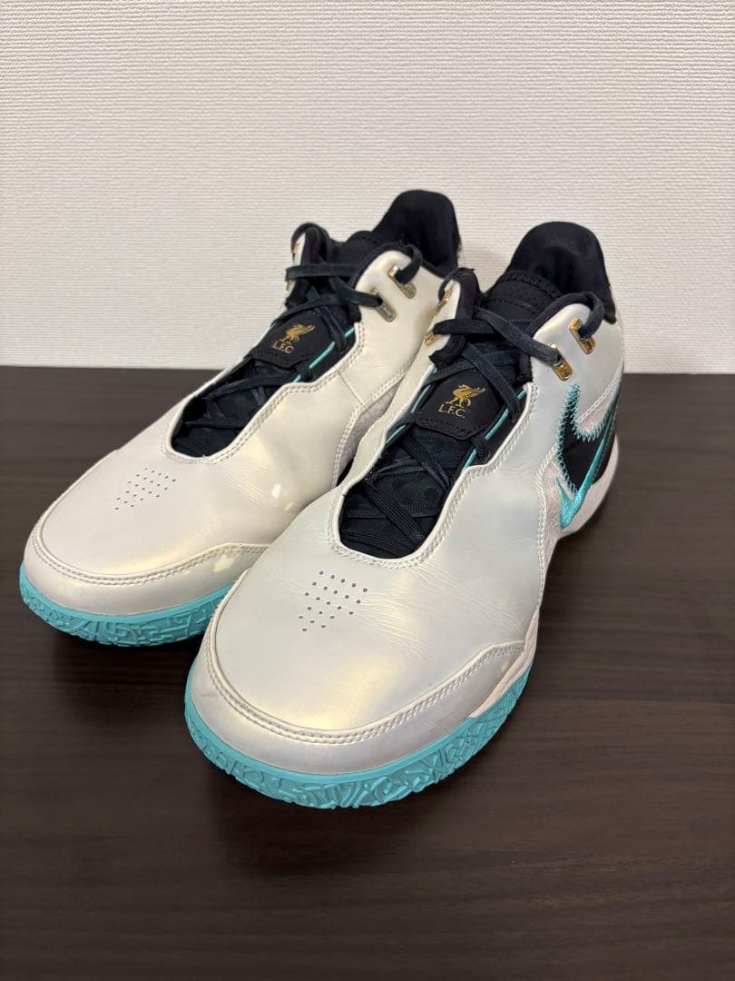 ナイキ レブロン NXXT Gen AMPD EP バスケットボールシューズ