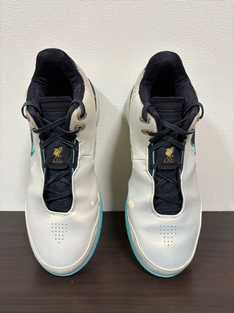 ナイキ レブロン NXXT Gen AMPD EP バスケットボールシューズ